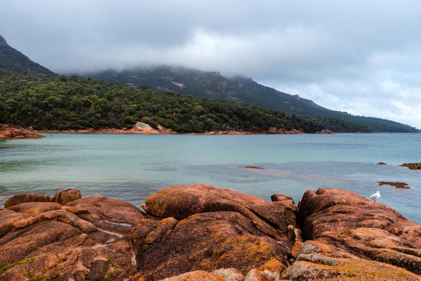 Honeymoon Bay, Freycinet National Park