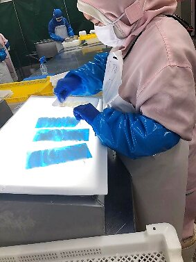 スライスをトレーに並べる工程